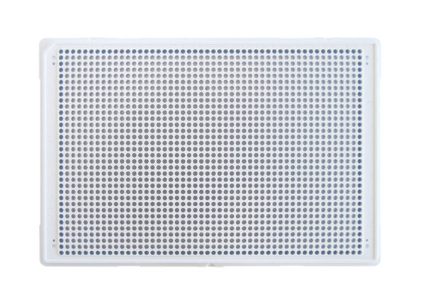 1536 Round Well, White, High Base, Evap Barrier, MaKO - 100µM - Image 5